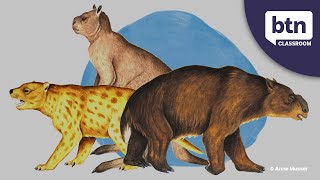 Extinction of Australias Megafauna  Behind the News [upl. by Hook]