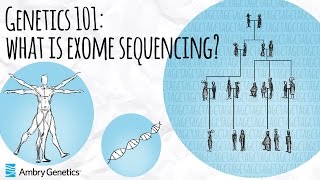 What is Exome Sequencing  Genetics 101  Ambry Genetics [upl. by Ycram]