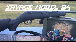 Savage Arms Model 64 22lr FULL REVIEW [upl. by Kotick]