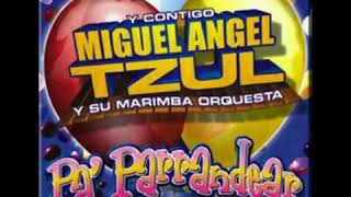 El Tacuazin Miguel Angel Tzul [upl. by Sudnak355]