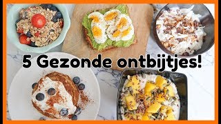 5 Recepten voor een Gezond Ontbijt  OPTIMAVITA [upl. by Suollecram]