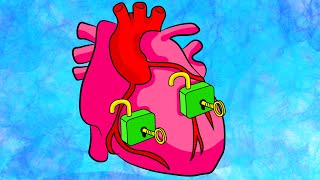 Arteries vs veinswhats the difference  Circulatory system physiology  NCLEXRN  Khan Academy [upl. by Naivaf]