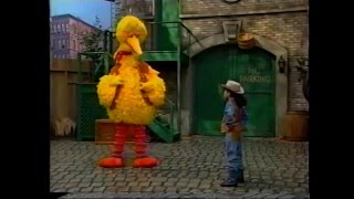 Sesame Street  Scenes from 3338 [upl. by Fraser]